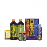 Atami Bloombastic Box Terra