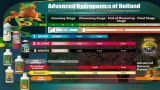 Advanced Amino 500 ml
