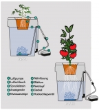 Hortipot