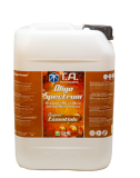 GHE TA Oligo Spectrum (B'Essentials) 10 Liter