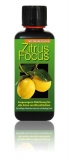Zitrus Focus 300 ml