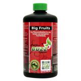 Green Buzz Liquids Big Fruits 500 ml