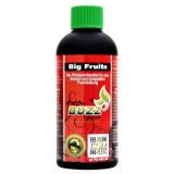 Green Buzz Liquids Big Fruits 100 ml