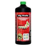 Green Buzz Liquids Big Fruits 1 Liter