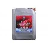 Hesi Boost 5 Liter