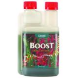 Canna Boost 250 ml